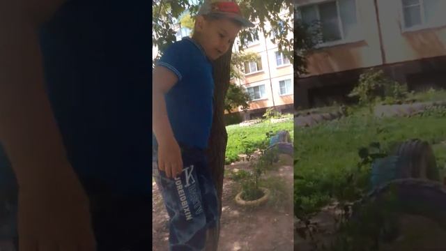 Научиться лазить по деревьям Данил смотреть онлайн