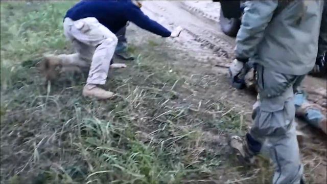 Экзамен ЧА смотреть онлайн