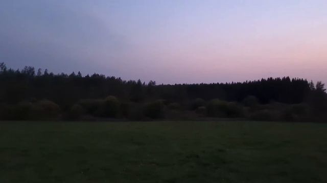 ВЕЧЕРНЯЯ ПРОГУЛКА ПО ПОЛЮ смотреть онлайн