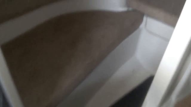 Копия видео 