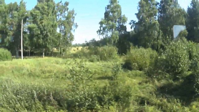 Петергоф -Ломоносов на электричке[Peterhof -Lomonosov By Train]