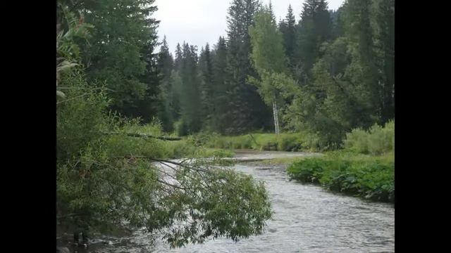 РыбАчинск смотреть онлайн