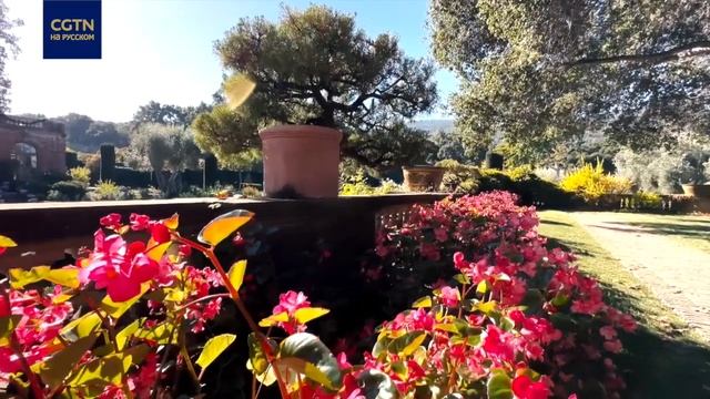 В США пройдет встреча Си Цзиньпина и Джо Байдена смотреть онлайн