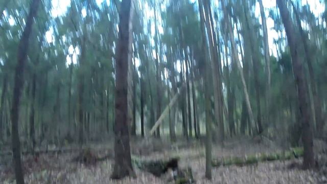 Где то рядом?....Minelab E-Trac...Реальный кооп