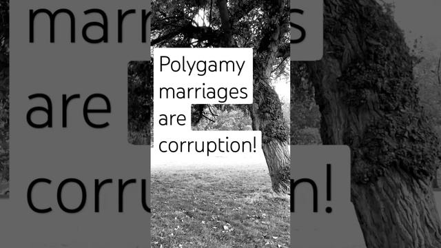 Polygamy marriages in Islam | poly смотреть онлайн