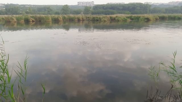 Славянск. 28 августа 2022г. Утро. смотреть онлайн