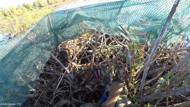 Охота на утку с новыми чучелами и манком из скрадка на утрянке. Открытие охоты на утку. ДЕНЬ ВТОРОЙ смотреть онлайн