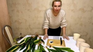 Обработка сансевьерии от красного плоского клеща