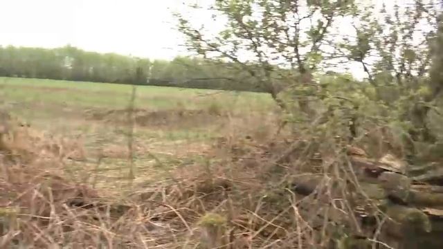 По старым местам... #282 смотреть онлайн