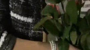 Елена Терлеева - Пой..автор ролика Светлый