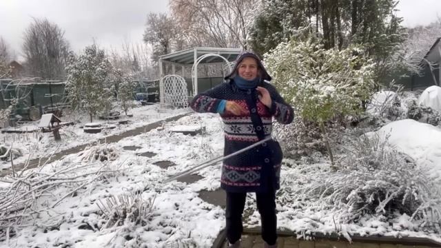 Доброе 01.11.22| ОБРУЧА БОЛЬШЕ НЕ БУДЕТ| САД ПРОЩАЙ смотреть онлайн