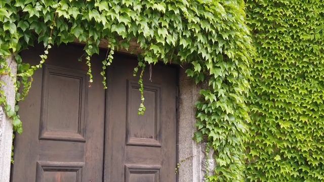 Медитация Мудрец из храма Снятие психоэмоционального напряжения диагностика психического состояни смотреть онлайн