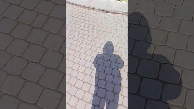 город Ломоносов смотреть онлайн