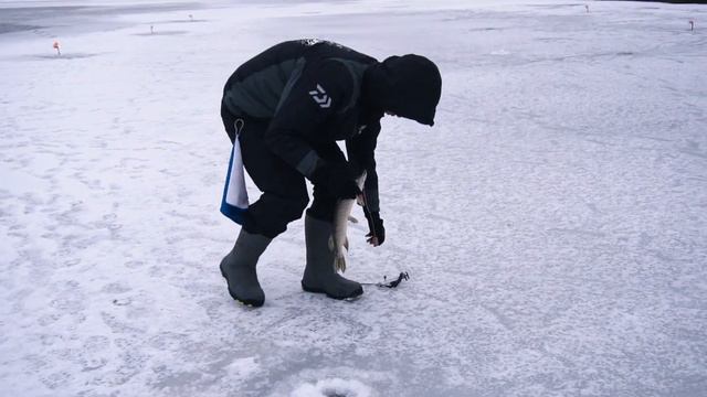 ЦЕНА ХОРОШАЯ / А ЧТО ПО РЫБЕ ?! смотреть онлайн