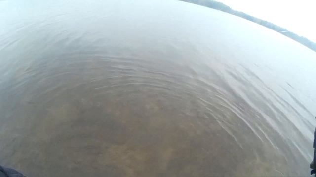 Ловля в коряжнике ( "SpinFish" Житомир) смотреть онлайн