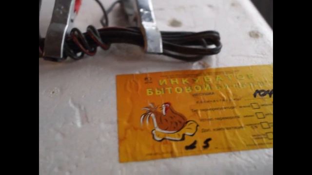 ИНКУБАЦИЯ ЯИЦ смотреть онлайн