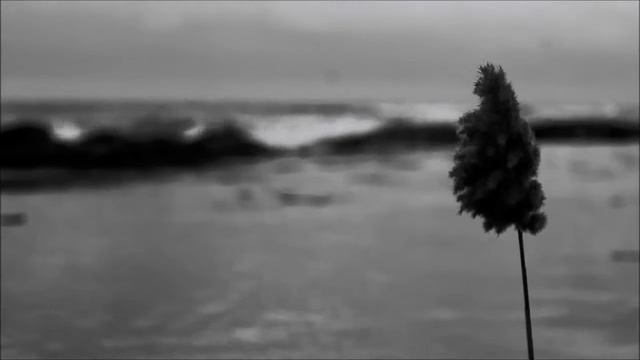 Нина Тер-Семенова "Колесо Жизни" смотреть онлайн