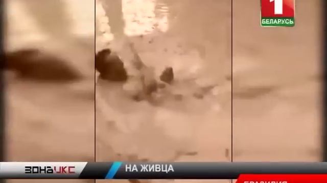 Ловля на живца. Зона Х смотреть онлайн