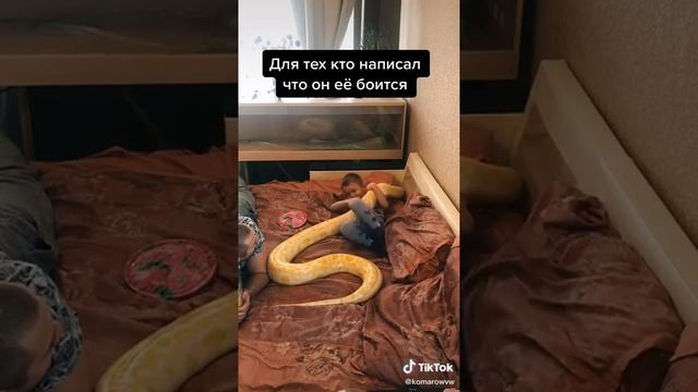 Ребёнок гуляет со змеёй смотреть онлайн