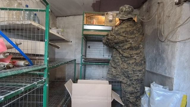 вес бройлера в 10 дней смотреть онлайн