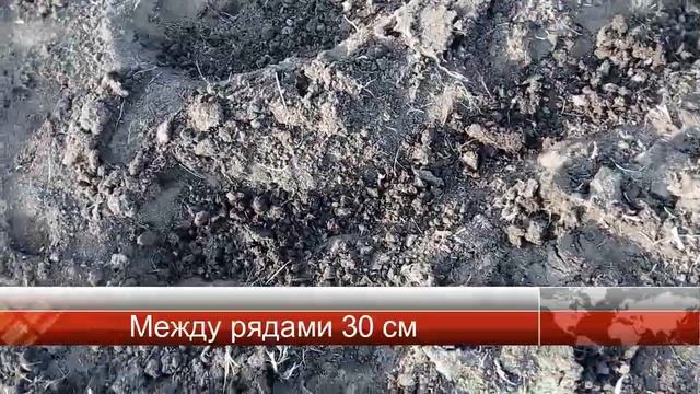 СтройКомплекс