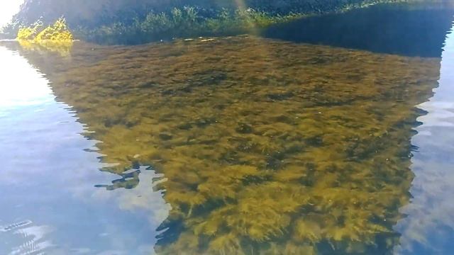 В лодке по Фиоленту смотреть онлайн