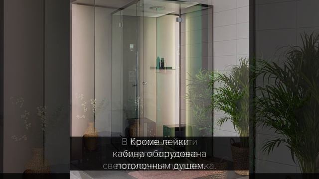 Пародушевая кабина Tylo Vista