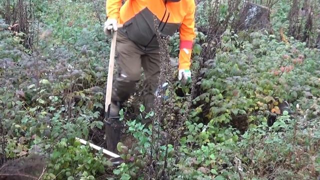 Osterode am Harz - :Mission Stadtwaldrettung 2020 смотреть онлайн