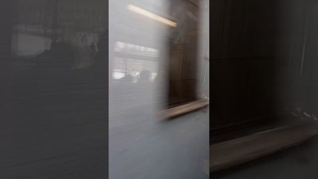 Поездка по Арбатско-Покровской линии метро от станции Первомайская до станции Партизанская на Русич смотреть онлайн