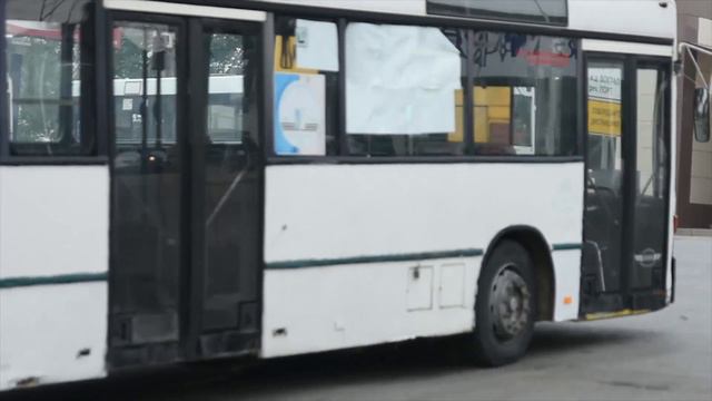 Жили-были-на-Дону 15.10.2018 смотреть онлайн