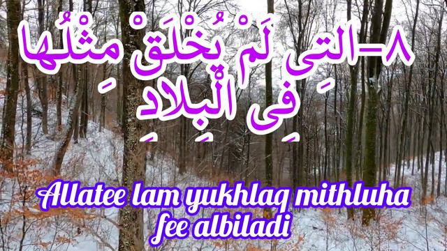 Beginner Quran learning :surah al fajr verse 8 and native english translate смотреть онлайн
