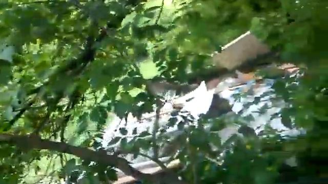 Кратово. Вместо контейнерной площадки - свалка мусора. смотреть онлайн