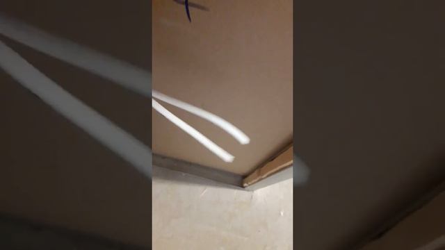 Эл. проводка в квартире на Бородинском