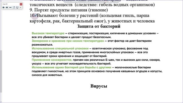 38_Бактерии и вирусы