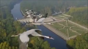 Алевтина Егорова-Птицы белые