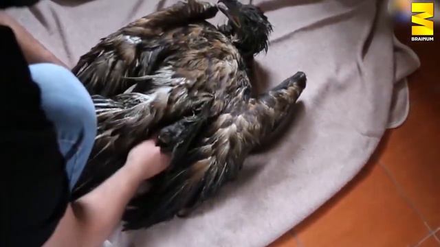 Настоящие люди такие!!! смотреть онлайн