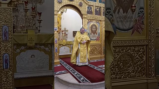 10 февраля 2024г. Проповедь прот. Игоря Гагарина в день памяти прпп.Ефрема Сирина и Исаака Сирина смотреть онлайн