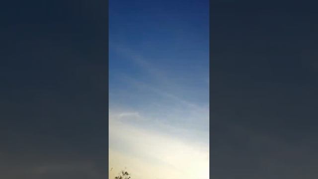 Цикады в поле смотреть онлайн