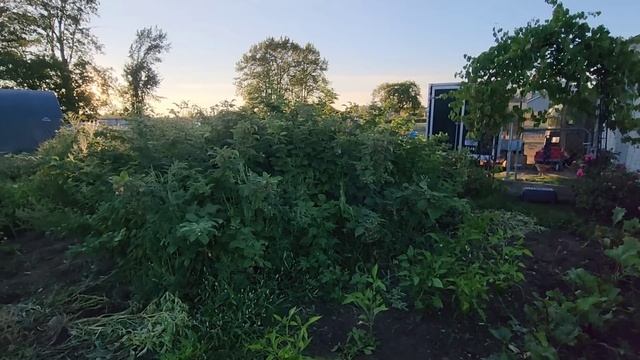 ЗАПАС НА ЗИМУ СДЕЛАН я СПОКОЙНА / СЕЛЬСКАЯ ЖИЗНЬ ЗА ГОРОДОМ смотреть онлайн