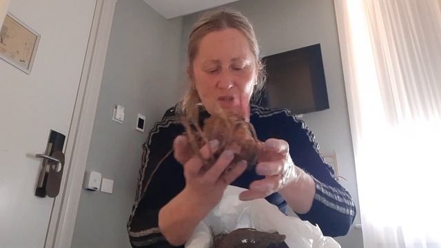 Чем славятся Нидерланды. Haring ,цветы... смотреть онлайн