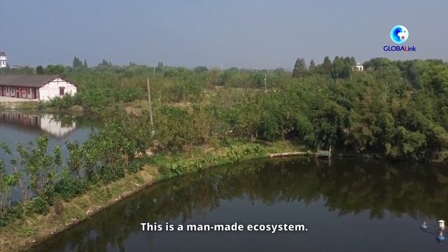Huzhou city, a model of wildlife conservation смотреть онлайн