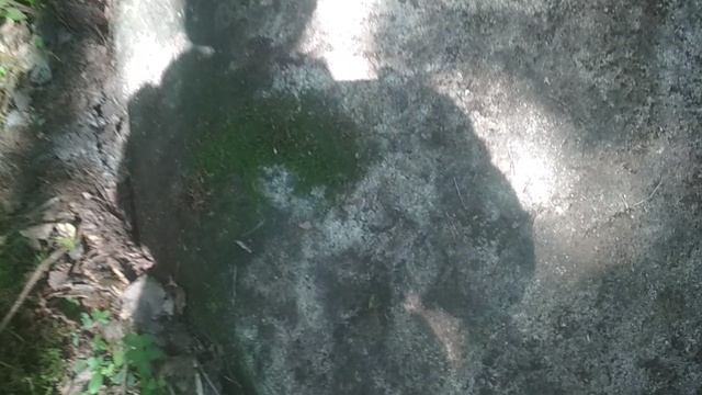 VID_20230705_133859.mp4 смотреть онлайн