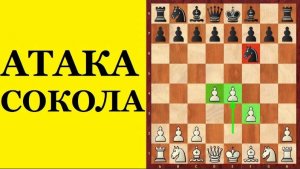 Шахматы. ДЕБЮТ В ШАХМАТАХ ЗА БЕЛЫХ. Школа шахмат d4-d5.