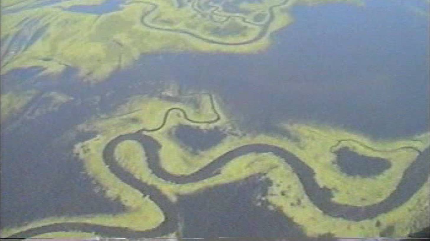 Река - фильм 2004