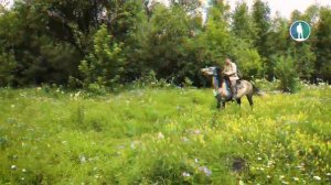 Уход на профилактику (Моя Планета HD, 19.04.2023)