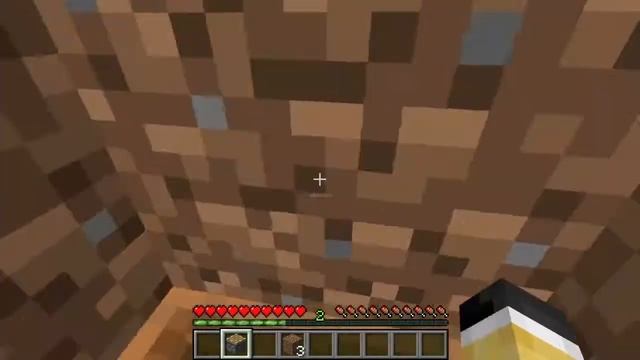 I tried composter glitch in 1.16.5 and found this...?? смотреть онлайн