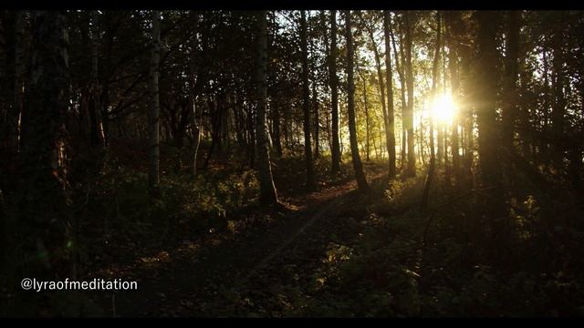Самая красивая магическая музыка / Волшебная музыка / Атмосферная Музыка/ Эмбиент/ Фэнтези смотреть онлайн