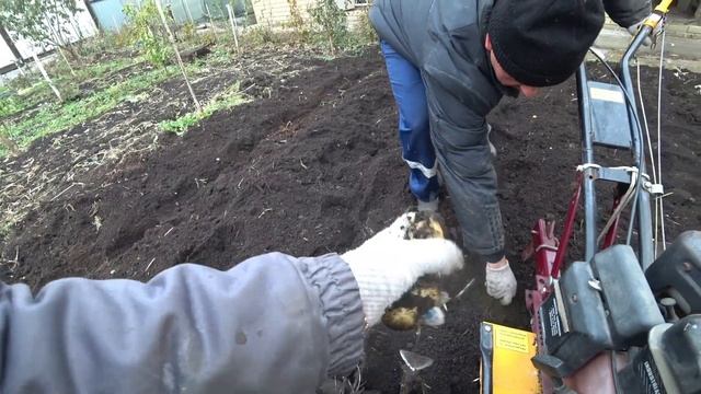 Нужна ли осенняя вспашка огорода? смотреть онлайн