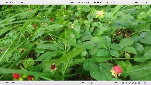 Атмосферное видео с друзьями смотреть онлайн