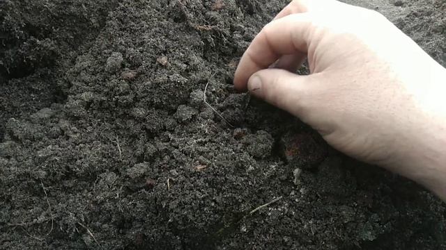 Серебро Елизаветы/Мечта кладоискателя/ Удачный шурф 2020 смотреть онлайн